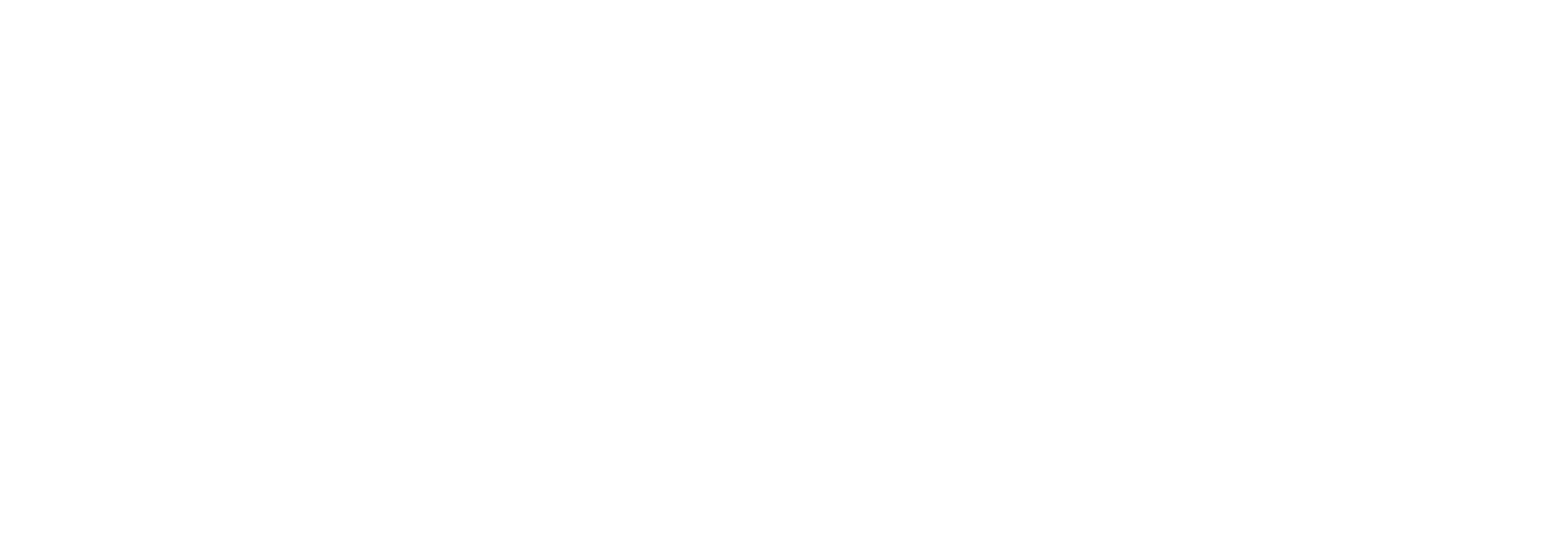 Tien Seng Engineering wordmark