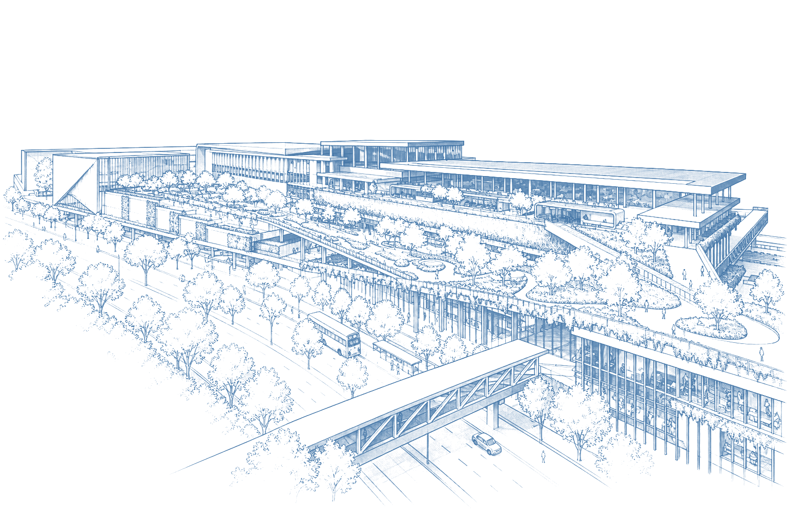 Blueprint line-art study of the TPID development in Singapore